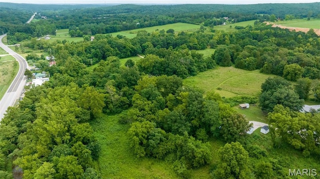 10107 Cannon Mines Rd, Cadet, MO 63630 - photo 9