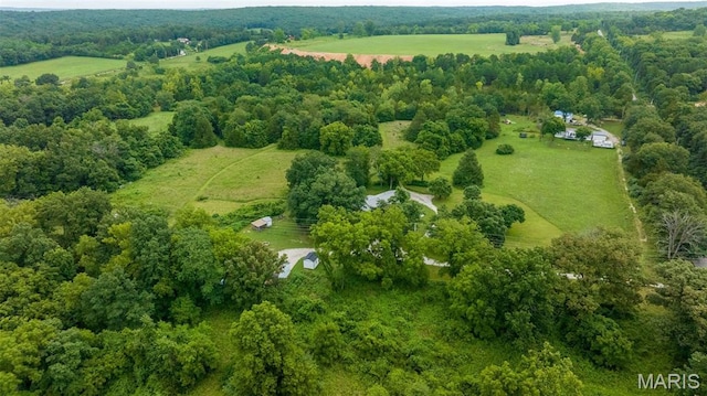 10107 Cannon Mines Rd, Cadet, MO 63630 - photo 10