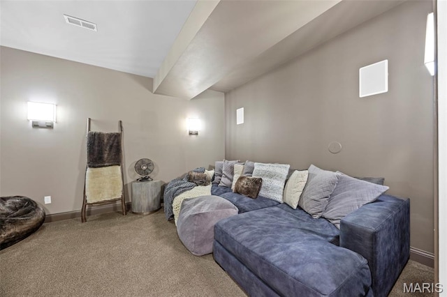 111 Scenic Dr, Saint Peters, MO 63376 - photo 48
