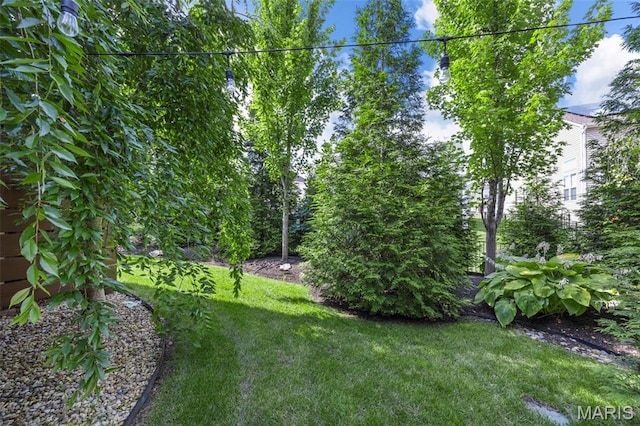 111 Scenic Dr, Saint Peters, MO 63376 - photo 68