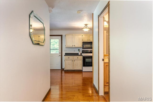 25 Whispering Oaks Dr, Washington, MO 63090 - hallway with light wood finished floors, a textured ceiling, and crown molding