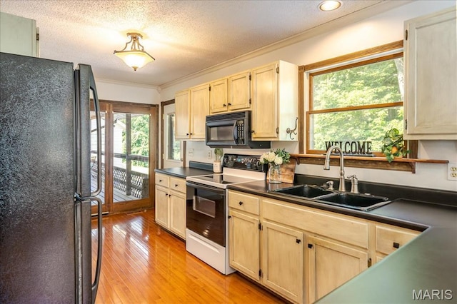 25 Whispering Oaks Dr, Washington, MO 63090 - kitchen with black appliances, light brown cabinetry, dark countertops, healthy amount of natural light, and crown molding