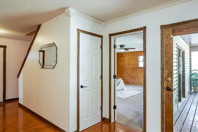 25 Whispering Oaks Dr, Washington, MO 63090 - hallway with wood finished floors, crown molding, and a textured ceiling