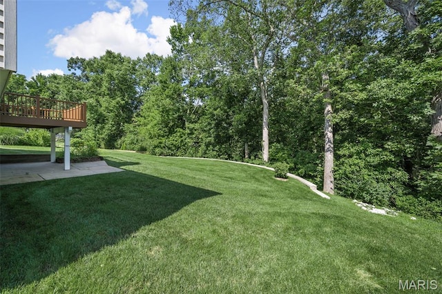 725 Carriage Trail Dr, Ofallon, MO 63368 - photo 31