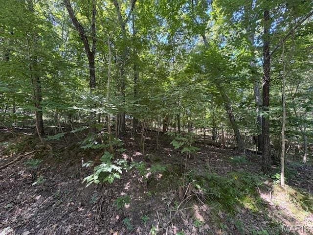 0 Greenwood Dr, Hillsboro, MO 63050