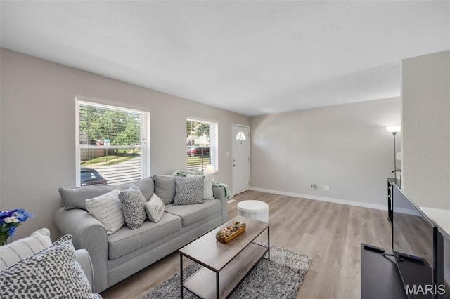 164 Burtonwood Dr, Ballwin, MO 63011 - living area featuring light wood-style flooring and baseboards