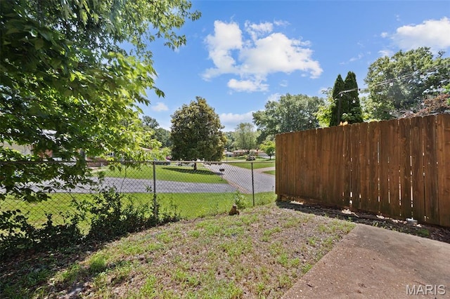 164 Burtonwood Dr, Ballwin, MO 63011 - view of yard