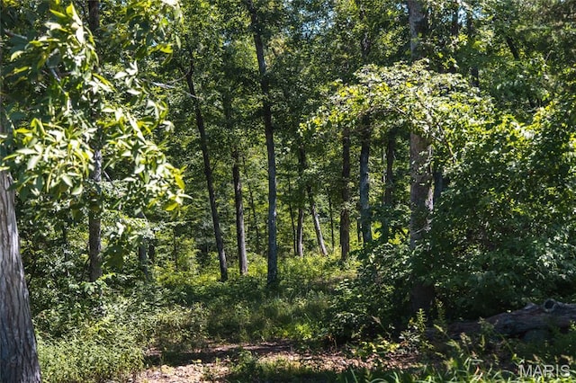 2654 Stronghoener Rd, Owensville, MO 65066 - photo 8