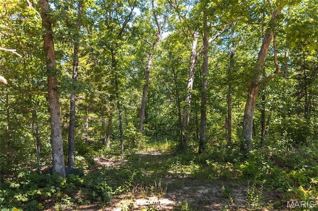 2654 Stronghoener Rd, Owensville, MO 65066 - photo 9