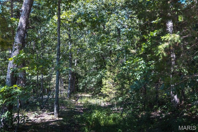 2654 Stronghoener Rd, Owensville, MO 65066 - photo 10