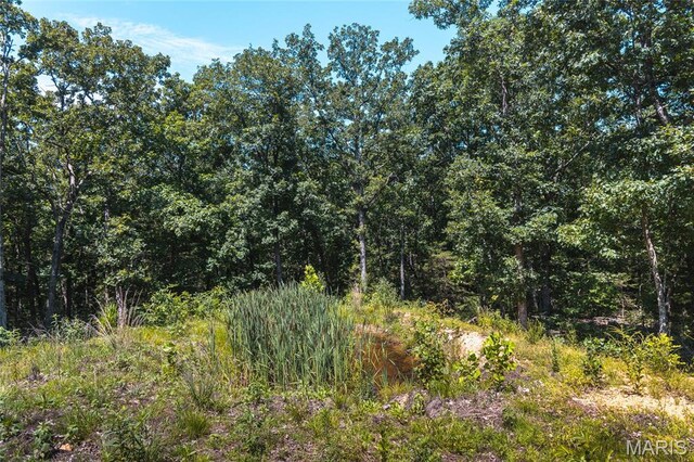 2654 Stronghoener Rd, Owensville, MO 65066 - photo 12