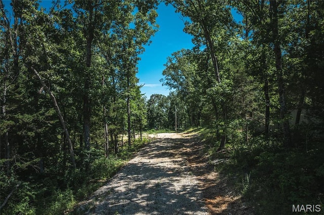 2654 Stronghoener Rd, Owensville, MO 65066 - photo 23