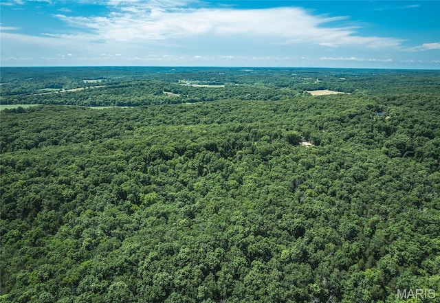 2654 Stronghoener Rd, Owensville, MO 65066 - photo 25