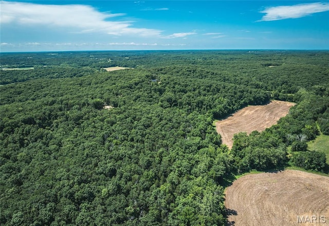 2654 Stronghoener Rd, Owensville, MO 65066 - photo 26