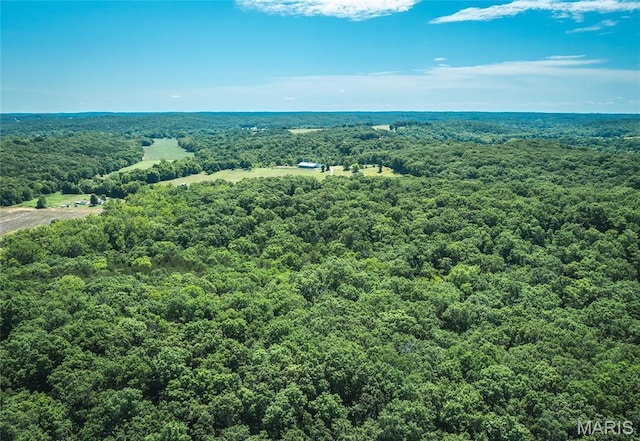 2654 Stronghoener Rd, Owensville, MO 65066 - photo 28