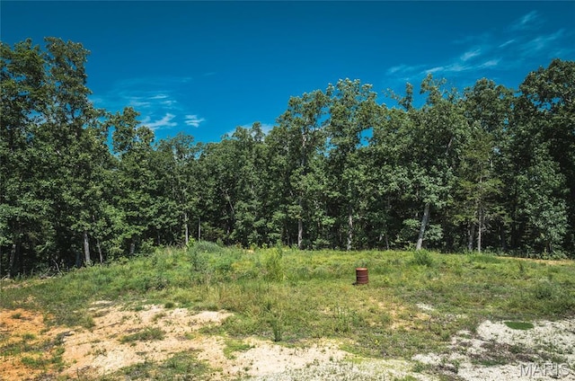 2654 Stronghoener Rd, Owensville, MO 65066 - photo 32