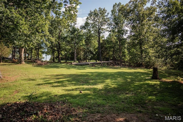 1688 Notre Dame Dr, Bonne Terre, MO 63628 - view of grassy yard