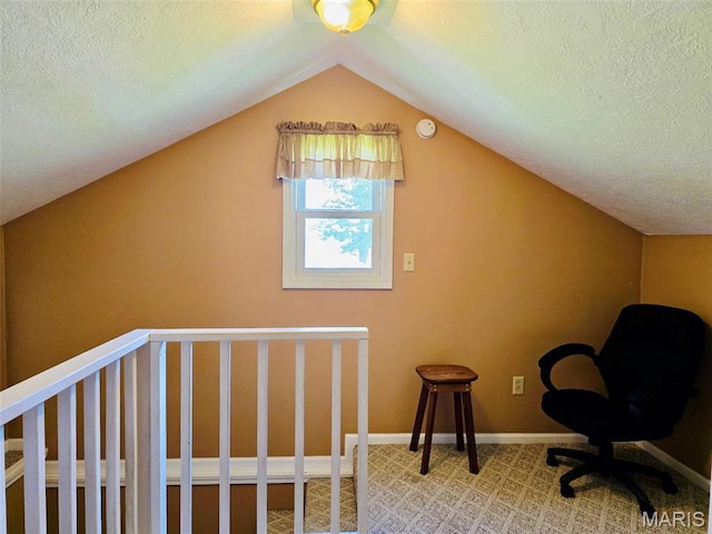 202 Maple, Licking, MO 65542 - bonus room featuring a textured ceiling, vaulted ceiling, and carpet flooring