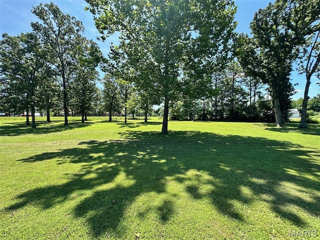 202 Maple, Licking, MO 65542 - view of grassy yard