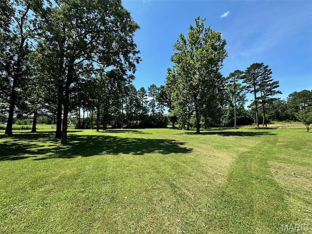 202 Maple, Licking, MO 65542 - view of grassy yard