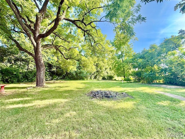 411 E Elvins Blvd, Park Hills, MO 63601 - photo 10