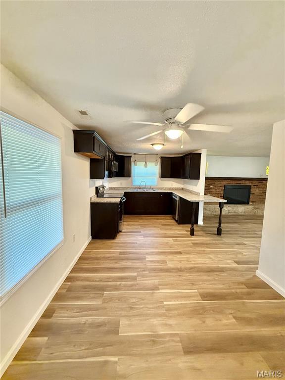 411 E Elvins Blvd, Park Hills, MO 63601 - photo 17