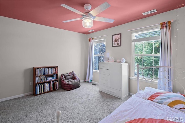 3640 Morgan Way, Imperial, MO 63052 - photo 28