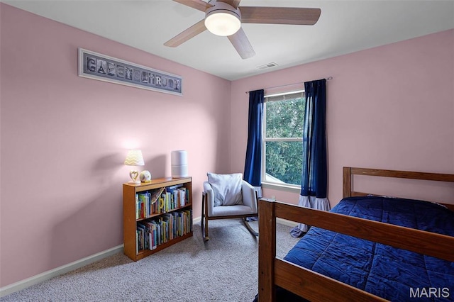 3640 Morgan Way, Imperial, MO 63052 - photo 29