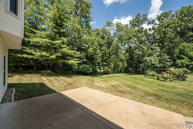 13344 E Ln, Mehlville, MO 63128 - photo 37