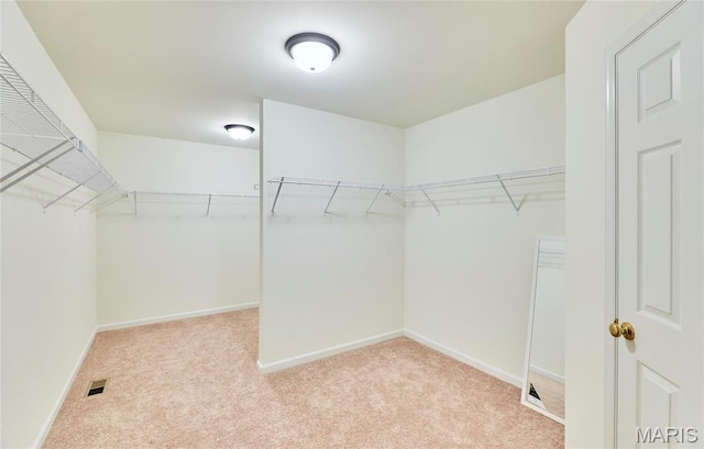 17603 Hitching Post Ct, Eureka, MO 63025 - spacious closet with carpet