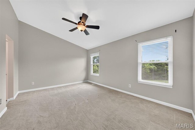 2988 Wheatfield Farms Dr, Ofallon, MO 63368 - photo 11