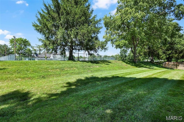 3816 Keeneland Ct, Florissant, MO 63034 - view of yard