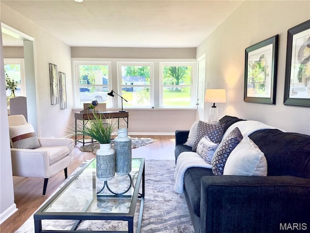 1248 Lynchester Ln, Kirkwood, MO 63122 - living room featuring wood finished floors and healthy amount of natural light