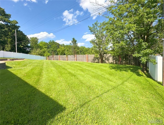 1248 Lynchester Ln, Kirkwood, MO 63122 - view of fenced backyard