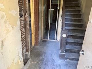 2906 Park Ave, Saint Louis, MO 63104 - photo 4