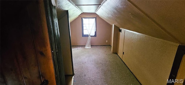 601 Chanslor, Ferguson, MO 63135 - additional living space featuring vaulted ceiling and light colored carpet