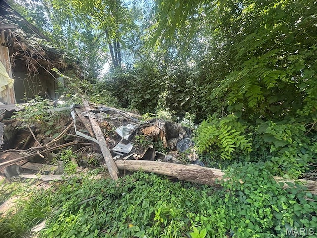 1625 N 46th St E, St Louis, IL 62204 - view of nature