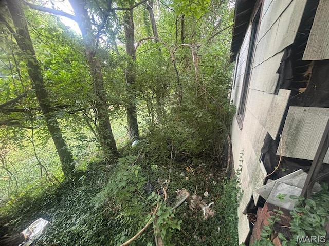 1625 N 46th St E, St Louis, IL 62204 - view of local wilderness