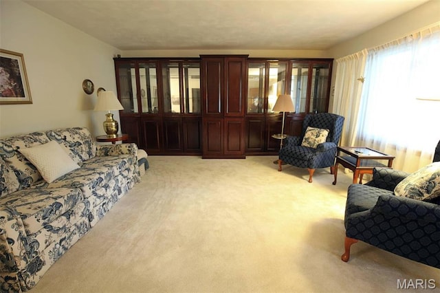 929 W Jay St, Vandalia, IL 62471 - photo 5