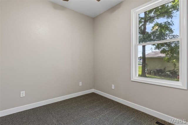 102 N White Oak St, Desloge, MO 63601 - photo 32