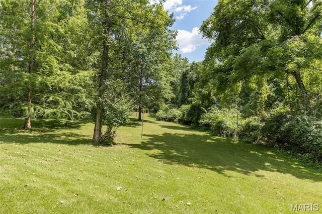 5028 Baldcypress Ct, Saint Louis, MO 63128 - view of grassy yard