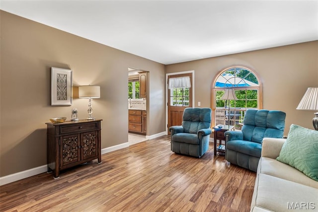 5028 Baldcypress Ct, Saint Louis, MO 63128 - living room with light wood-style flooring and baseboards