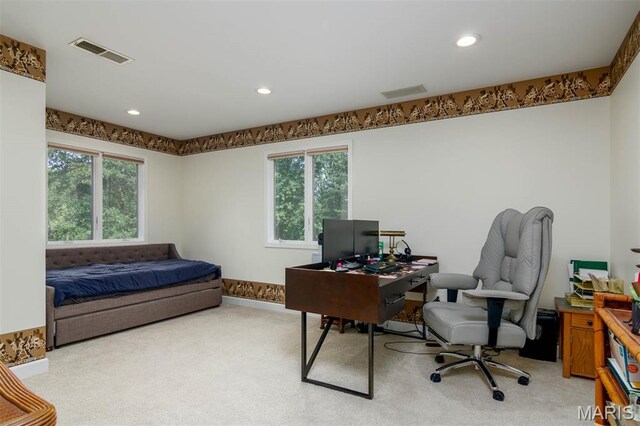 1949 Klaus Geiger Rd, Highland, IL 62249 - photo 37