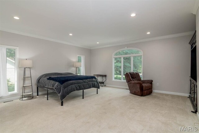 1949 Klaus Geiger Rd, Highland, IL 62249 - photo 44