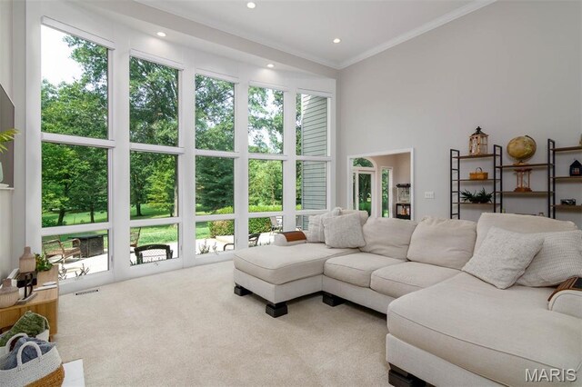 1949 Klaus Geiger Rd, Highland, IL 62249 - photo 23