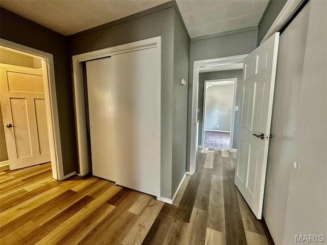 316 Church St, East Alton, IL 62024 - corridor featuring wood finished floors and baseboards