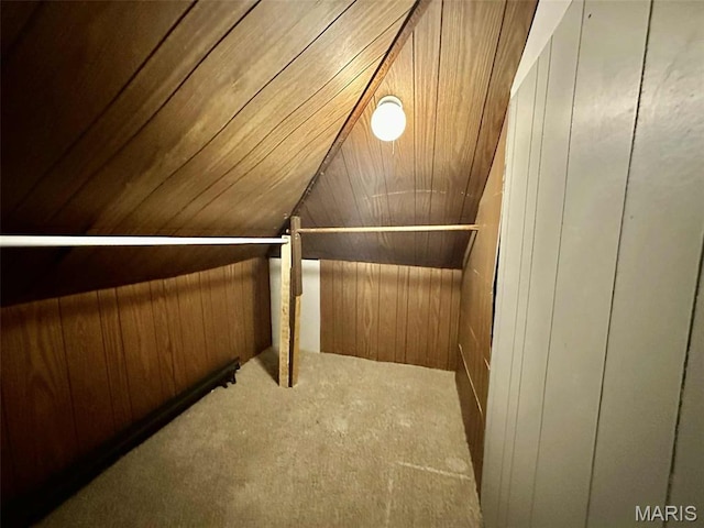 316 Church St, East Alton, IL 62024 - additional living space with wood walls, carpet floors, and vaulted ceiling