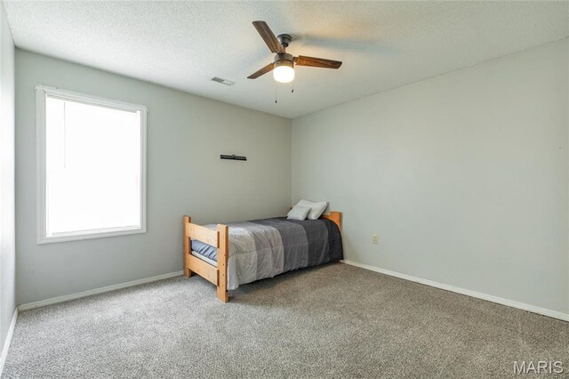 405 Burlington, Brighton, IL 62012 - photo 29