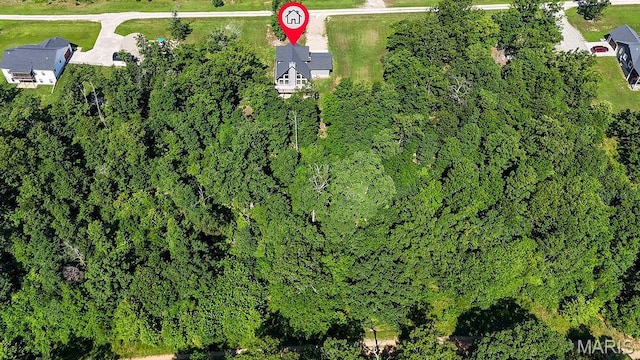 10185 Springer Dr, Bonne Terre, MO 63628 - aerial overview of property's location