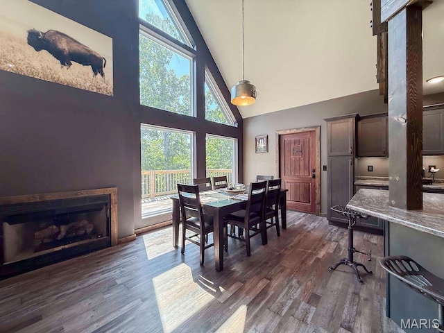 10185 Springer Dr, Bonne Terre, MO 63628 - dining room featuring high vaulted ceiling, healthy amount of natural light, and dark wood-style floors